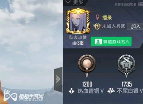 和平精英辅助软件详细评测：哪款值得信赖？